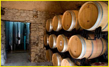 Wine Tasting “Tenuta San Francesco farm” 5