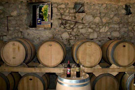 Wine Tasting “Tenuta San Francesco farm” 6